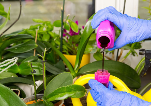 Essential Orchid Care Tips: Using Water-Soluble Fertilizers Effectively