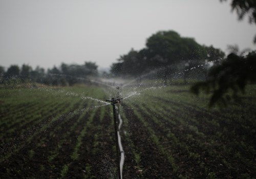 Orchid Care & Irrigation Excellence in Loudoun County
