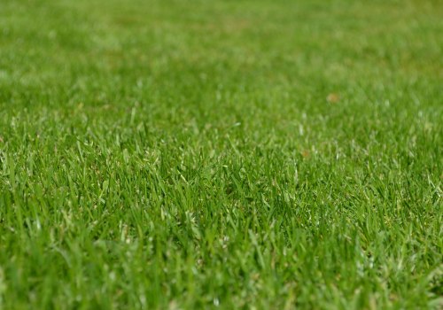 Elevate Your Lawn with Expert Aeration Services in Loudoun County